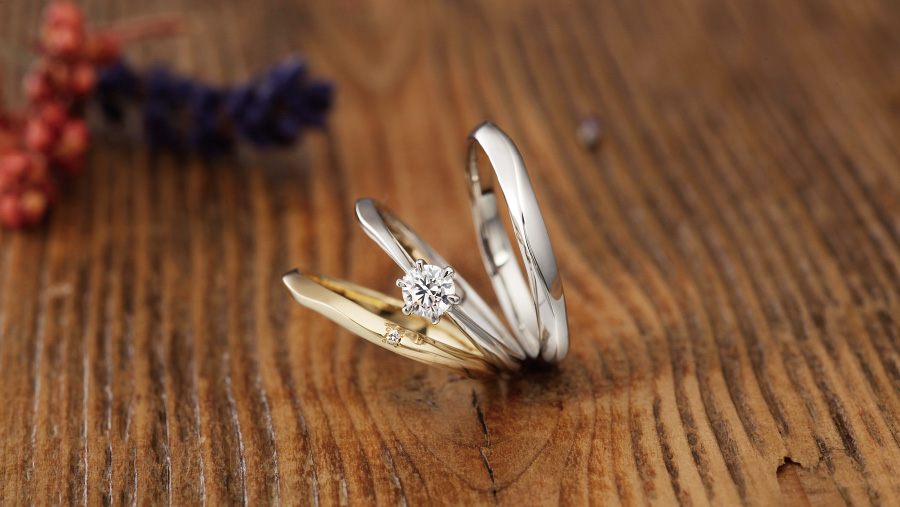 ハナミズキイメージ