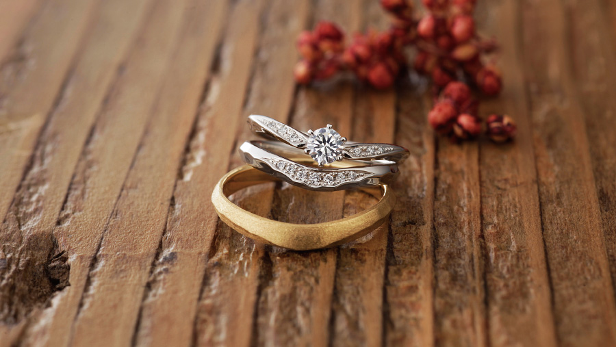 オリーブイメージ