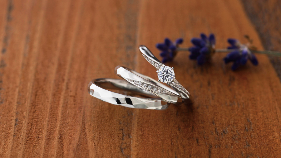 ビバーナムイメージ